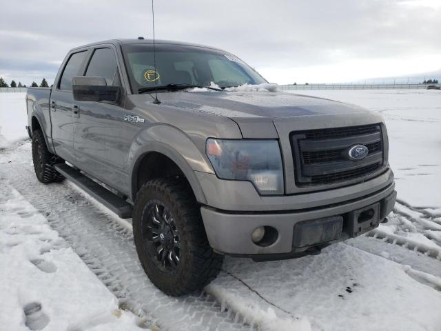 FORD F-150 2014 1ftfw1ef3efa64713