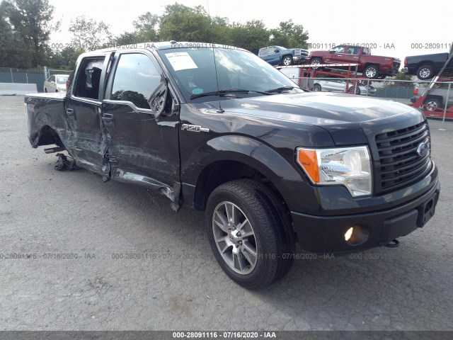 FORD F-150 2014 1ftfw1ef3efb07513