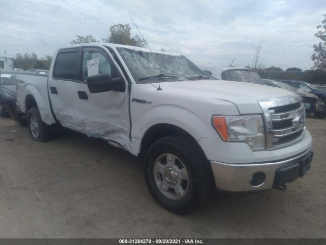 FORD F-150 2014 1ftfw1ef3efb17863