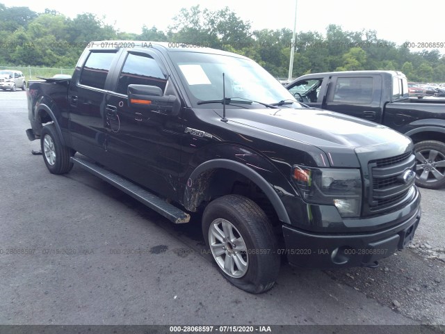 FORD F-150 2014 1ftfw1ef3eke38339