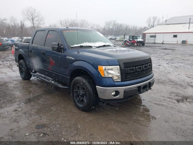 FORD F-150 2014 1ftfw1ef3ekf66421