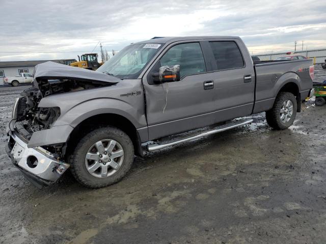 FORD F-150 2014 1ftfw1ef3ekf83641