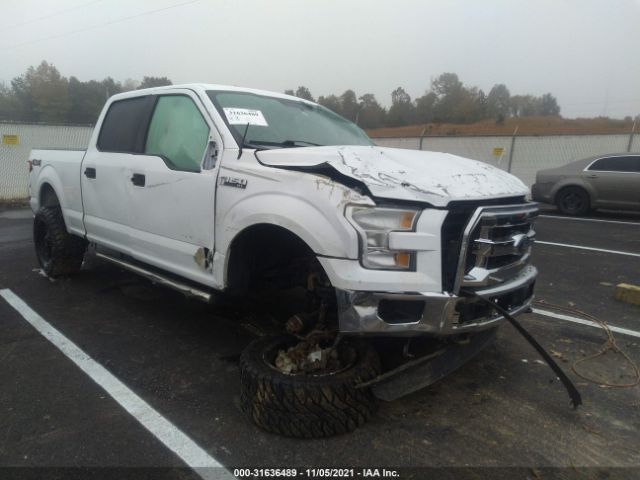 FORD F-150 2015 1ftfw1ef3fkd49873