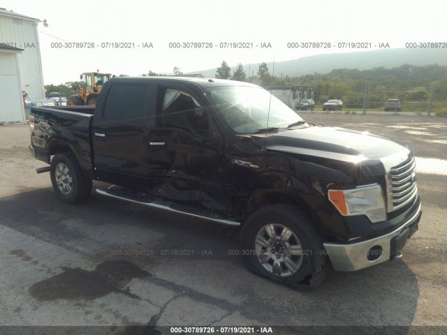 FORD F-150 2011 1ftfw1ef4bfc87922