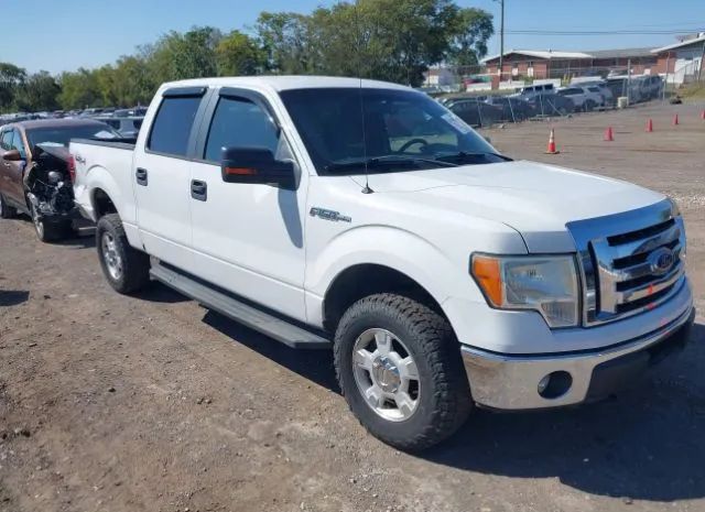 FORD F-150 2011 1ftfw1ef4bkd87302