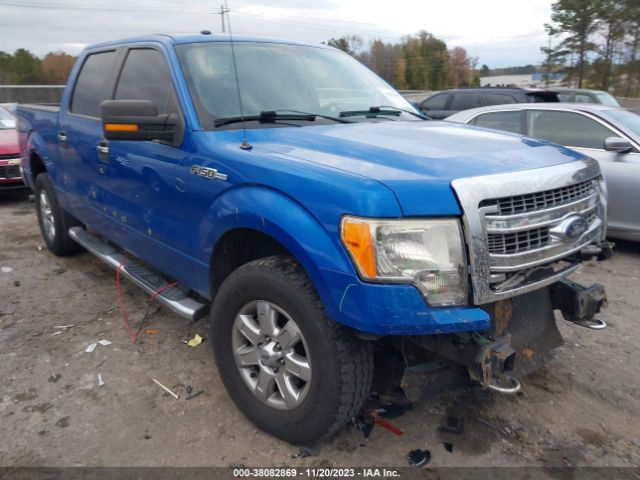 FORD F-150 2013 1ftfw1ef4dfa41536