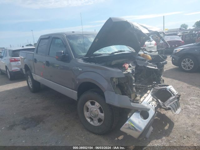 FORD F-150 2013 1ftfw1ef4dfb09009