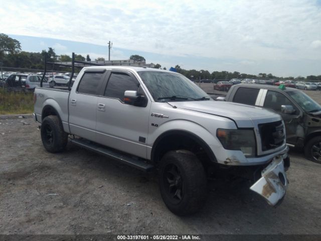 FORD F-150 2013 1ftfw1ef4dfb50000