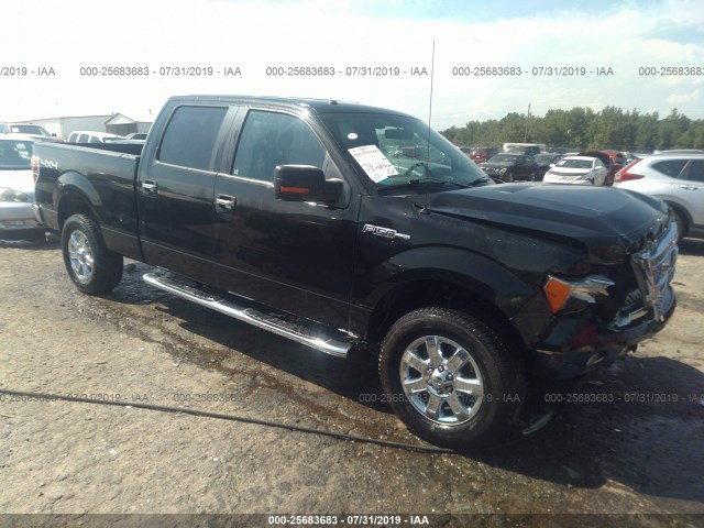 FORD F-150 2013 1ftfw1ef4dfb50451