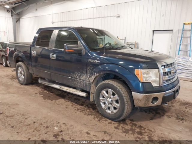 FORD F-150 2013 1ftfw1ef4dfb99939