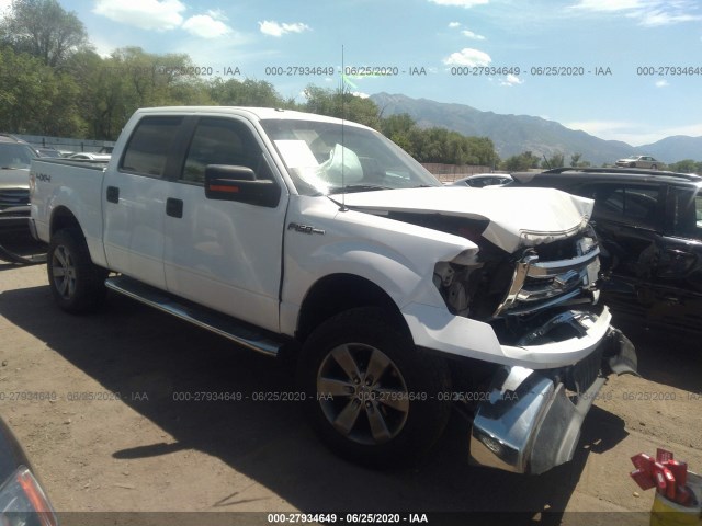 FORD F-150 2013 1ftfw1ef4dfc21762