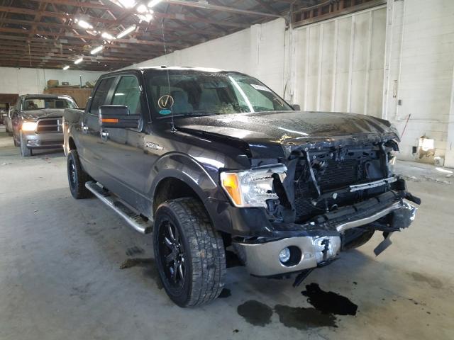 FORD F150 2013 1ftfw1ef4dfc56401