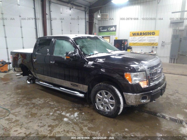 FORD F-150 2013 1ftfw1ef4dfd48673