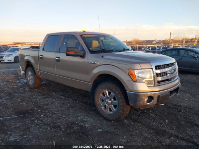 FORD F-150 2013 1ftfw1ef4dkd43125