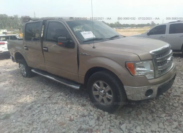 FORD F-150 2013 1ftfw1ef4dkg48236