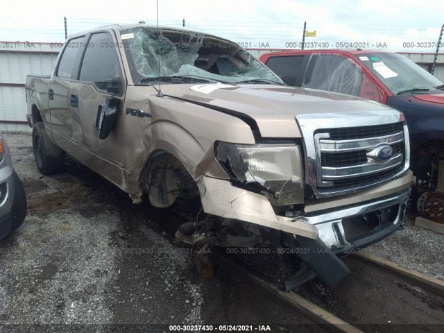 FORD F-150 2014 1ftfw1ef4efa39559