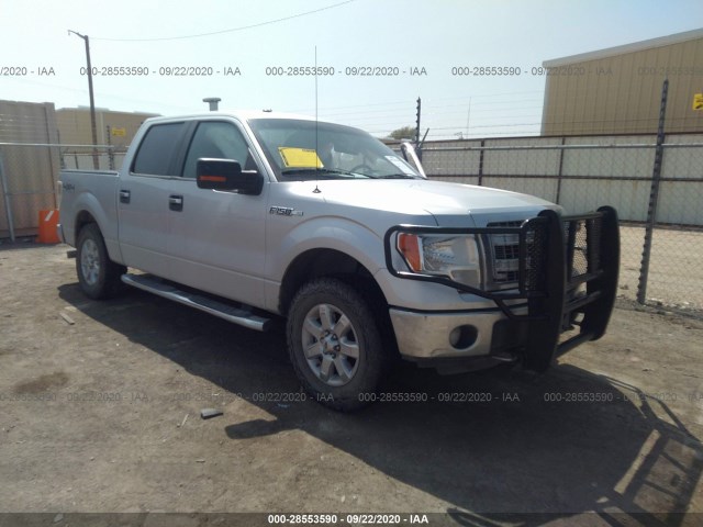 FORD F-150 2014 1ftfw1ef4efc96897