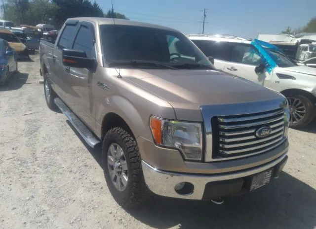 FORD F-150 2011 1ftfw1ef5bfb75033