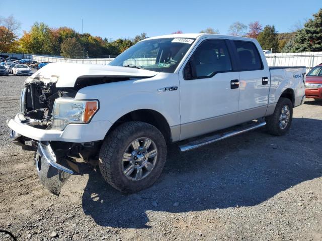 FORD F-150 2011 1ftfw1ef5bfc02151