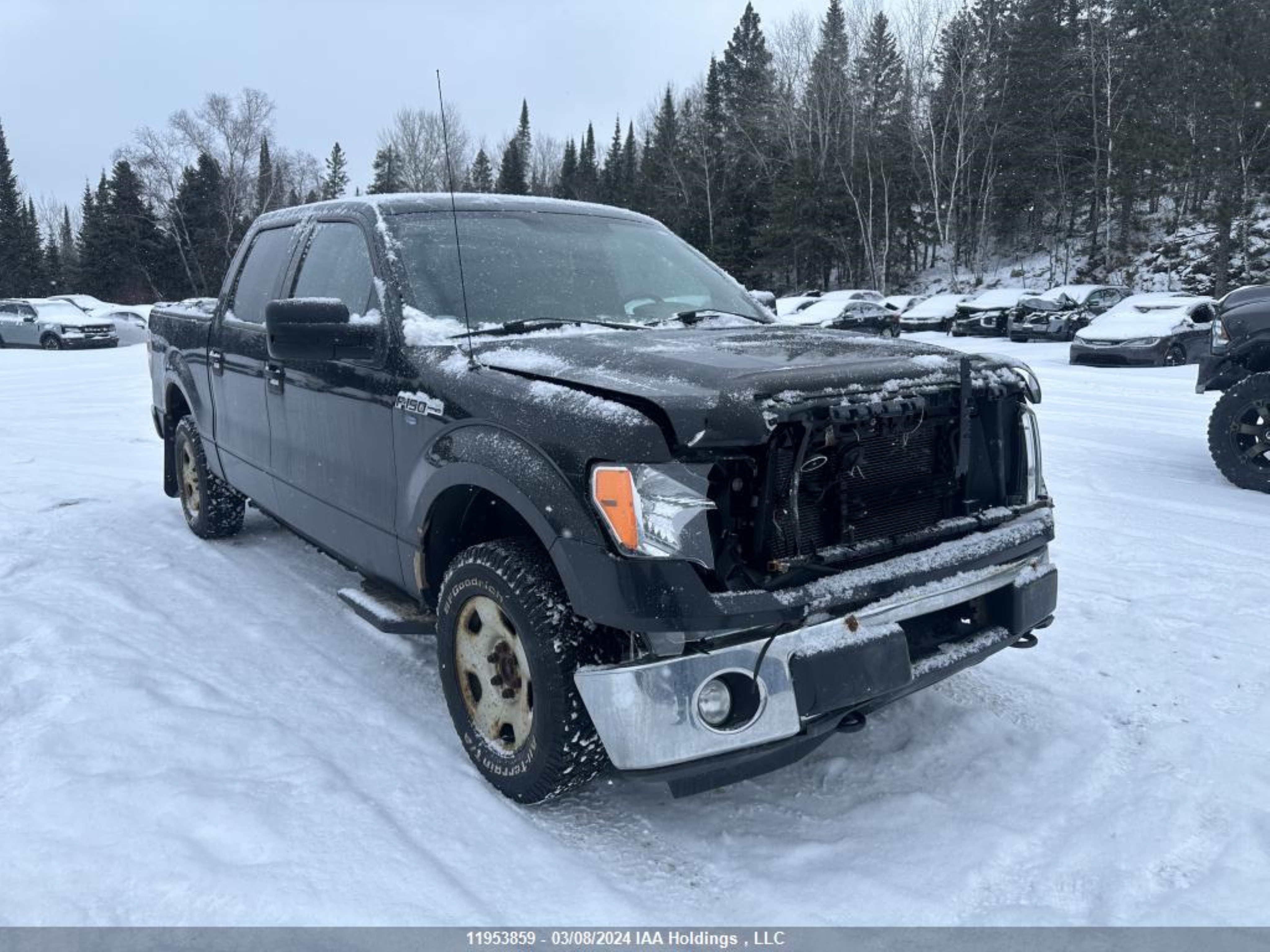 FORD F-150 2011 1ftfw1ef5bkd06291