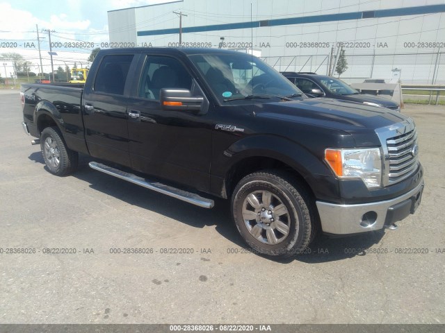 FORD F-150 2012 1ftfw1ef5cfa08270