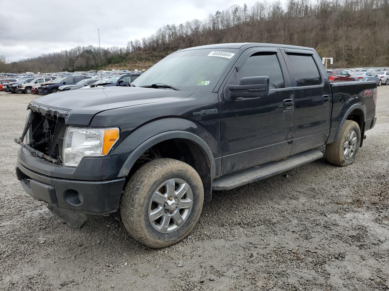 FORD F-150 2012 1ftfw1ef5cfa38675