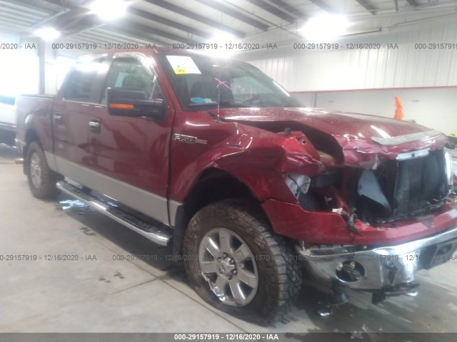 FORD F-150 2013 1ftfw1ef5dfa65716