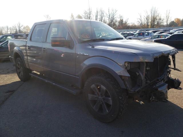 FORD F150 SUPER 2013 1ftfw1ef5dfa97968