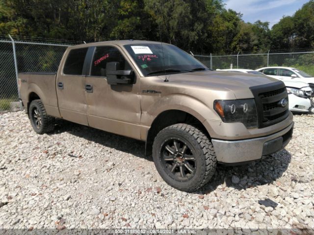 FORD F-150 2013 1ftfw1ef5dfb32203