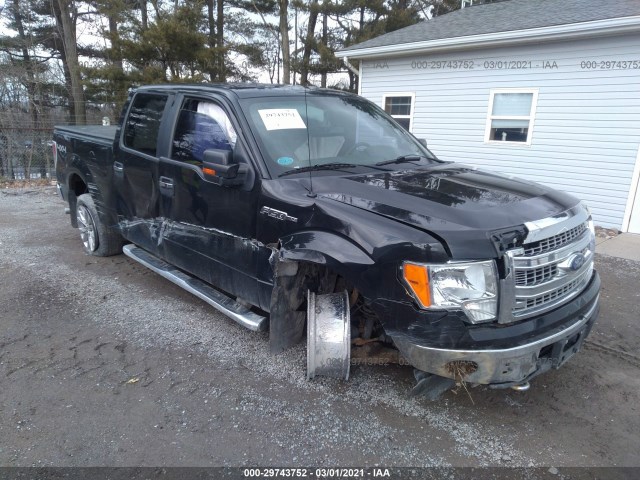 FORD F-150 2013 1ftfw1ef5dfb35666