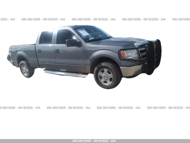 FORD F-150 2013 1ftfw1ef5dfb55335