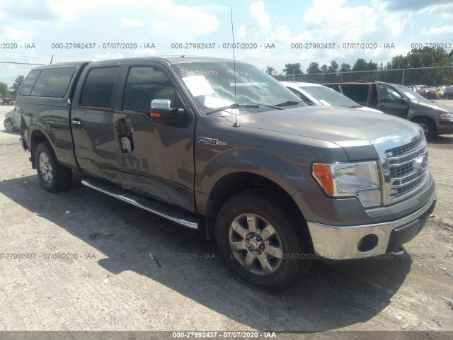 FORD F-150 2013 1ftfw1ef5dfb97181