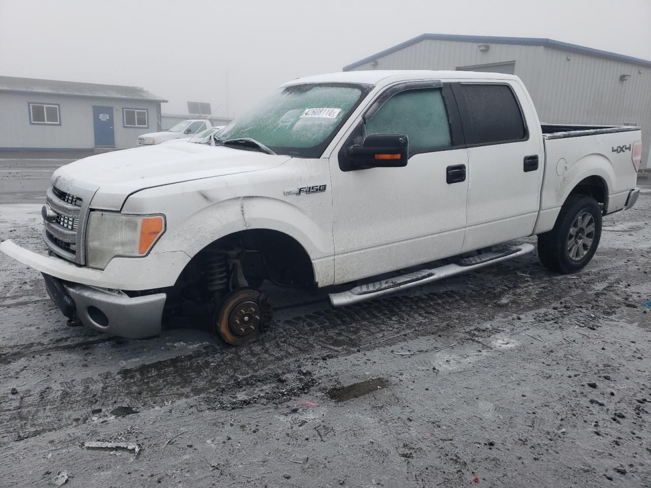 FORD F-150 2013 1ftfw1ef5dfc20636