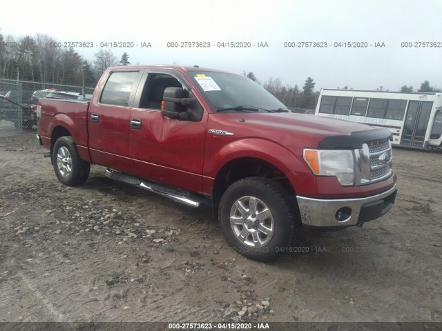 FORD F-150 2013 1ftfw1ef5dfd73355