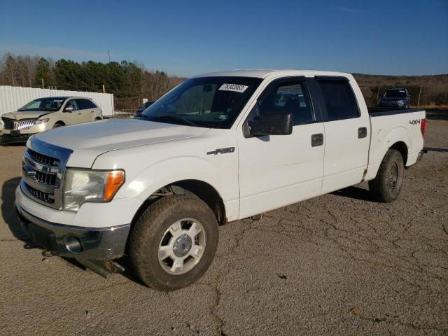 FORD F150 2013 1ftfw1ef5dfe08413