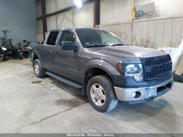 FORD F-150 2013 1ftfw1ef5dkd01563