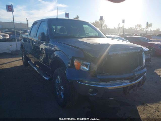 FORD F-150 2013 1ftfw1ef5dkd96299