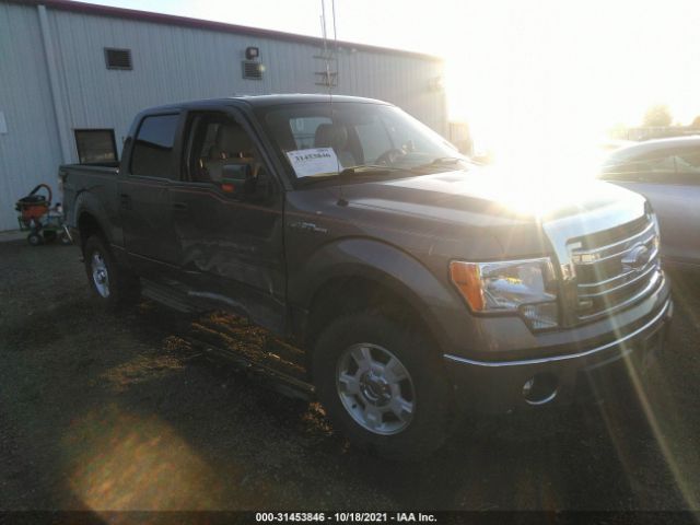 FORD F-150 2013 1ftfw1ef5dkf12004