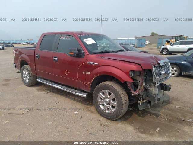 FORD F-150 2013 1ftfw1ef5dkf42880