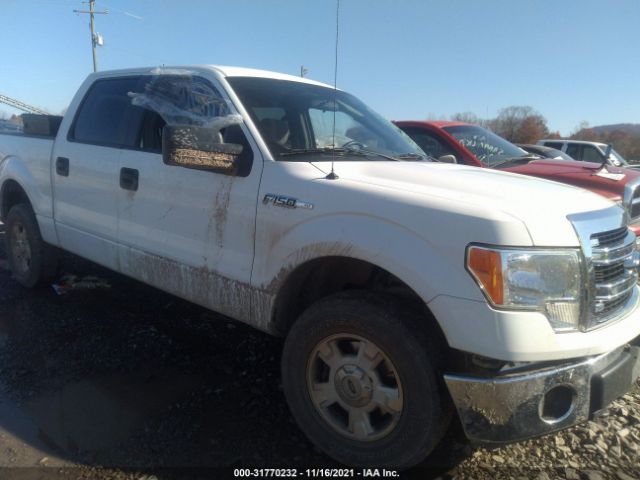 FORD F-150 2013 1ftfw1ef5dkf73787