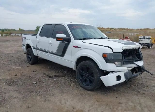 FORD F-150 2014 1ftfw1ef5efb69303