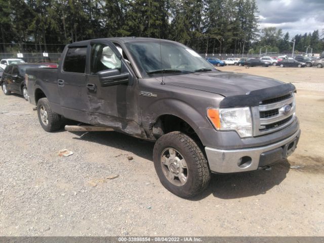 FORD F-150 2014 1ftfw1ef5efb71780