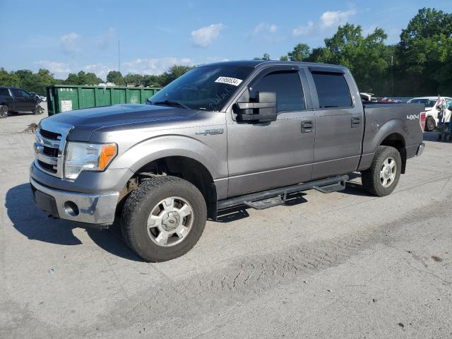 FORD F-150 2014 1ftfw1ef5efc27264