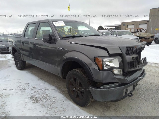 FORD F-150 2014 1ftfw1ef5efc64315