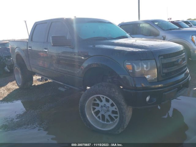 FORD NULL 2014 1ftfw1ef5ekd99219