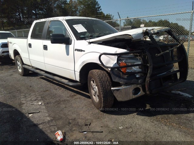 FORD F-150 2014 1ftfw1ef5ekf73385