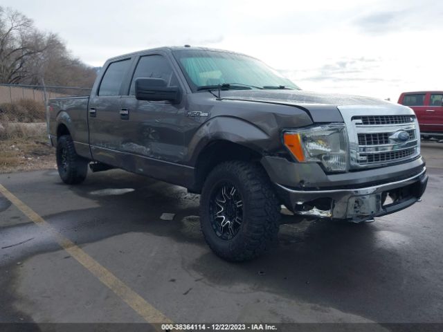 FORD F-150 2014 1ftfw1ef5ekf83950