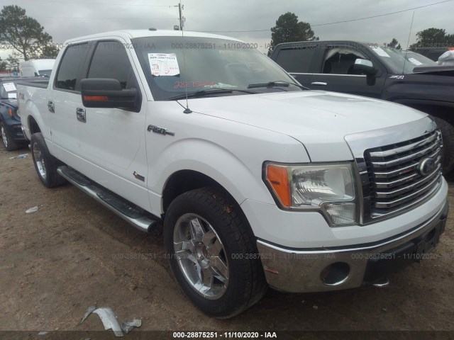 FORD F-150 2011 1ftfw1ef6bkd19759