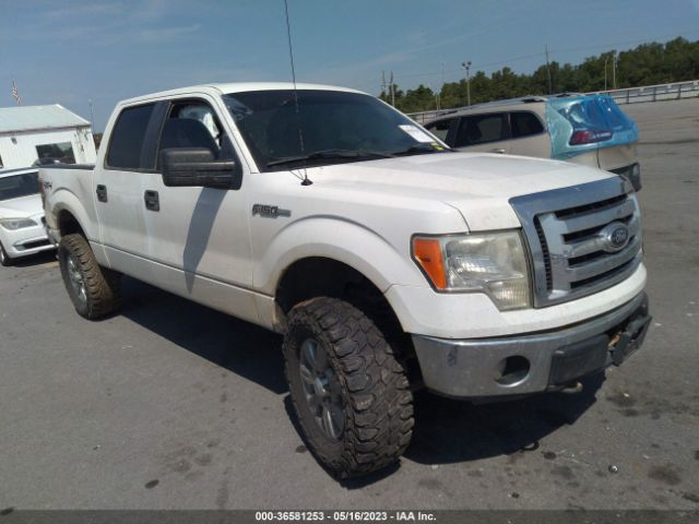 FORD F-150 2012 1ftfw1ef6cfb87709