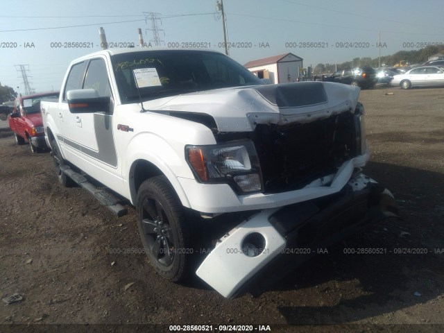 FORD F-150 2013 1ftfw1ef6dfb18133